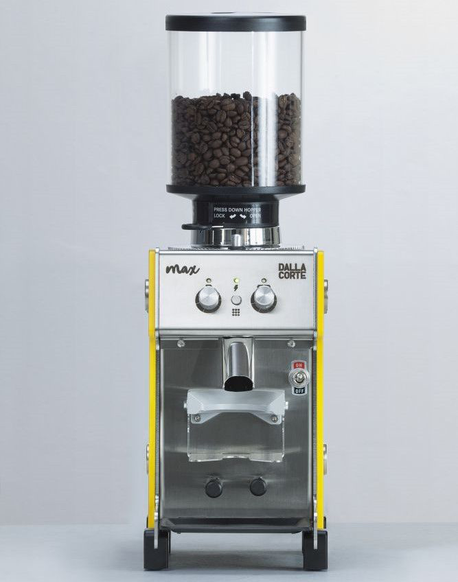 Dalla Corte Max - Vorderseite - gelb